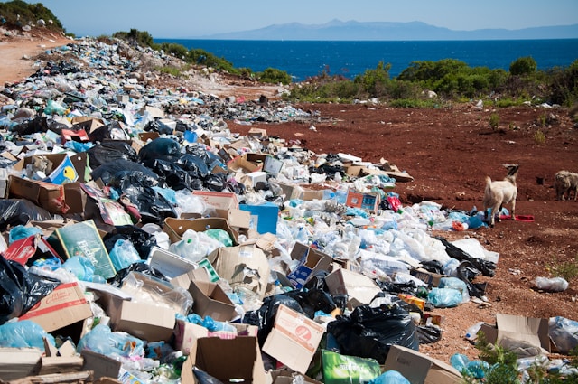 全球塑膠汙染問題日益嚴重。（圖片來源：Unsplash）