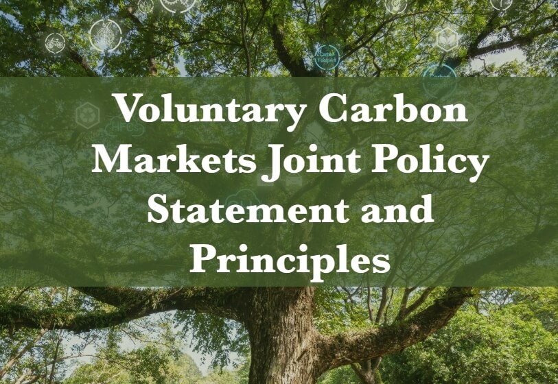 美國拜登政府發布「自願性碳市場聯合政策聲明和原則」（Voluntary Carbon Markets Joint Policy Statement and Principles），透過制定指導方針來確保自願性碳市場（VCM）的高度完整性，加強推動碳信用市場。（圖片來源：美國白宮網頁）