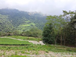 農業部林業及自然保育署推出「自然碳匯與生物多樣性專案媒合平台」 （ESG專案媒合平台），成功媒合信義房屋在台東縣金峰鄉超過2公頃國有地造林，除了固碳，也兼顧環境生物多樣性監測。（圖片來源：林業及自然保育署台東分署提供）