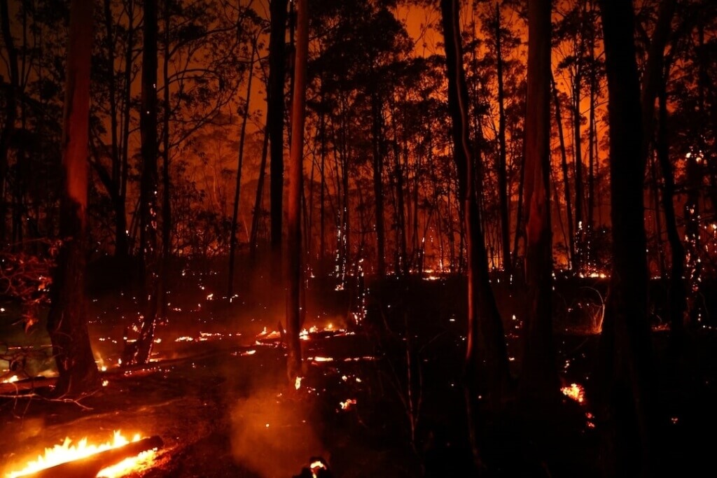 巴西環境監測機構表示，2024年巴西野火燒毀的土地總面積，超過義大利的國土面積。（圖片來源：路透社）